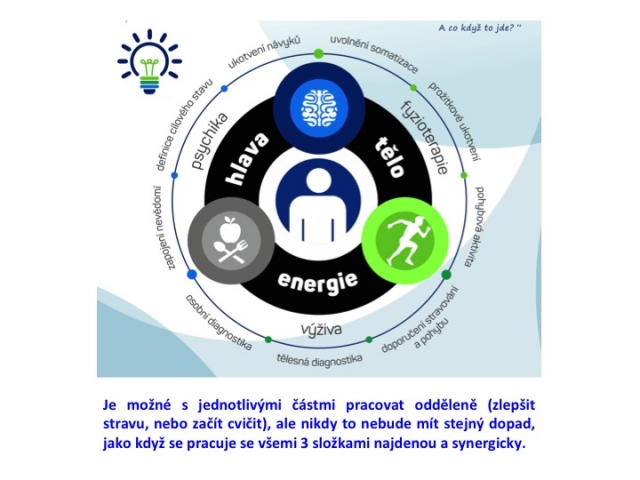 Health tuning® struktura